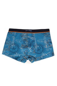 Shorts FOR BOYS B-511SZG, Lama