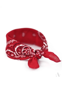 Bandana Art of Polo Classic Rebel 13014