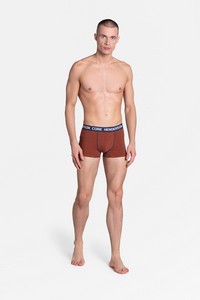 Boxer shorts men's 2PAK LOYD 38837, Henderson