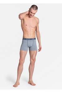 Boxer shorts men's 2PAK LAW 38845, Henderson
