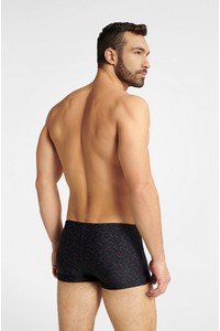 Swimwear na basen men's Henderson Globe 40776