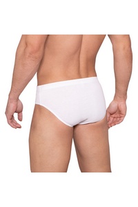 Briefs m-4000 cl-01 ex a'2, Lama